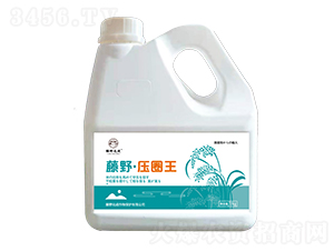 è—¤é‡Žå£“åœˆçŽ‹ï¼ˆæ°´ç¨»æ—©ç†Ÿé¼“ç²’å¢žç”¢(chÇŽn)ï¼‰-è—¤é‡ŽåŒ–æˆ