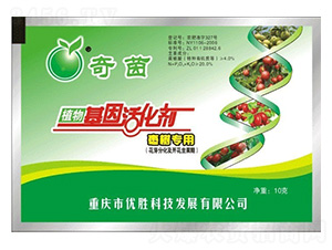 棗樹專用植物基因活化劑-奇茵-優(yōu)勝