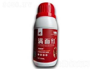 æ»¿é¢ç´…-è¥¿éƒ¨èƒ½æº