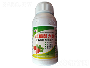 草莓靚大果-錦峰生物