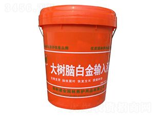 大樹(shù)腦白金輸入液-建業(yè)