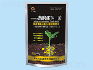 ç¢³é…¶ç¤¦æºé»ƒè…é…¸é‰€+èŒ-å¯ŒåŠ›ç‰¹