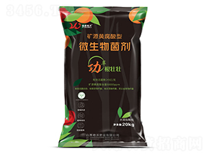 礦源黃腐酸鉀型微生物菌劑-地沃肥業(yè)