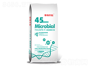 小麥適用肥料2型-中海豐耘-中?；蕵I(yè)