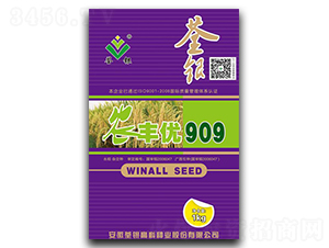 農(nóng)豐優(yōu)909-水稻種子-荃銀高科
