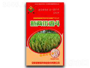 新兩優(yōu)香4-水稻種子-荃銀高科