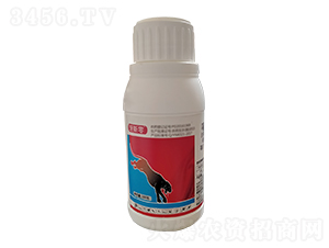 50%噻蟲吡蚜酮-億農(nóng)高科