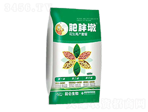 花生高產(chǎn)套餐-肥胖墩-愛(ài)普達(dá)
