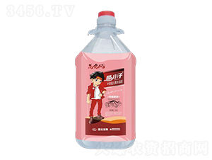 根小子中微量元素水溶肥-愛普達(dá)