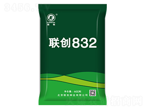 聯(lián)創(chuàng)832-玉米種子-聯(lián)創(chuàng)種業(yè)