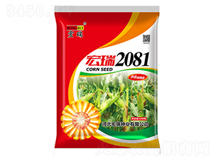 宏瑞2081（紅）-玉米種子-宏瑞種業(yè)