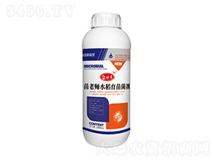 水稻育苗菌劑-苗老師-金必來生物