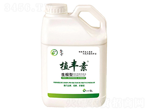 生根型-植豐素-玉美人