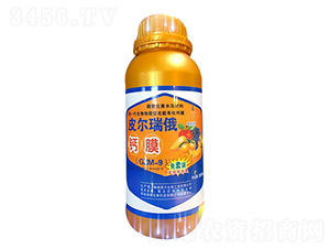 çš®çˆ¾ç‘žä¿„éˆ£è†œ-ç¶ éƒ½