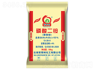 聚磷型磷酸二銨-常青樹(shù)化工