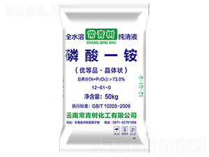 73%工業(yè)一銨-常青樹(shù)化工