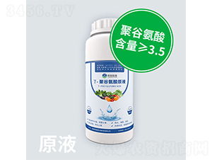 Y-èšè°·æ°¨é…¸åŽŸæ¶²-ç²µæ™ºå¾½æº