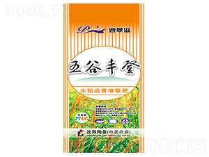 水稻返青增蘗肥-五谷豐登-綠星農(nóng)業(yè)