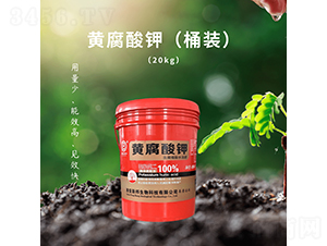 黃腐酸鉀桶裝水溶肥-彭邦生物