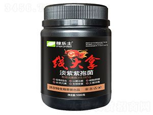 線大拿（淡紫紫孢菌）-稼樂(lè)土-沃爾特