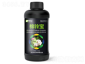 æ£‰éˆ´å¯¶-ç¨¼æ¨‚åœŸ-æ²ƒçˆ¾ç‰¹