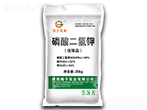 農(nóng)業(yè)級磷酸二氫鉀-橘子實(shí)業(yè)