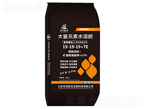 大量元素水溶肥料19-19-19+TE-華創(chuàng)聯(lián)合