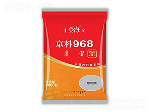 åœ‹å¯©äº¬ç§‘927-çŽ‰ç±³ç¨®å­-ä¸­æ™ºé¾æ˜Ÿ