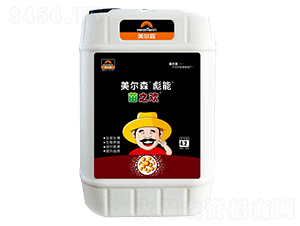 彪能苗之歡-美爾森農(nóng)業(yè)