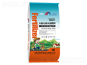 25kgå¤§é‡å…ƒç´ æ°´æº¶è‚¥19-19-19+Mg+TE-æ‹‰ç¾ŽèŠ¬