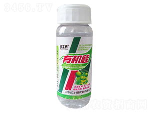 有機(jī)硅（瓶）-百士威
