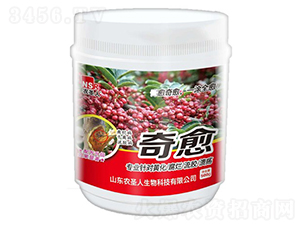 奇愈-農(nóng)圣人