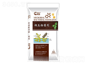 å¾®ç”Ÿç‰©èŒåŠ‘-æ­åŒ–