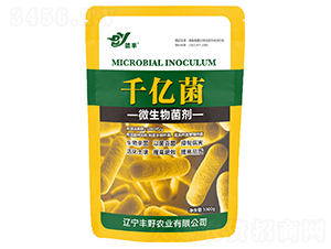 微生物菌劑-千億菌-豐野農(nóng)業(yè)
