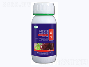 霜可-盛源