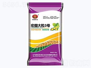 宏圖大粒3號-大豆種子-宏圖種業(yè)