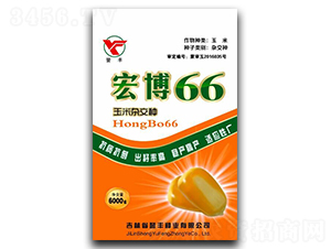 å®åš66-çŽ‰ç±³ç¨®å­-è­½è±ç¨®æ¥­(yÃ¨)