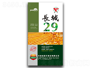 長(zhǎng)城29-玉米種子-譽(yù)豐種業(yè)