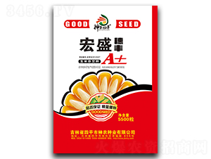 宏盛穗豐A+-玉米種子-神農種業(yè)
