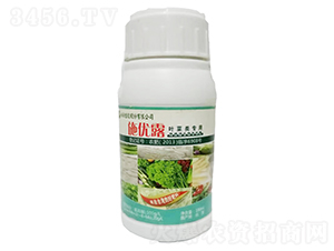 葉菜類專用海資源生物有機肥-施優(yōu)露-福旗生農業(yè)
