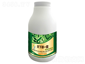 微生物菌劑-天下一菌-晨奧潤(rùn)澤