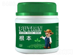 根本-普天科技