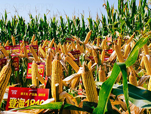 Ǻ1810-׷N-r(nng)NI(y)