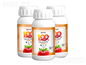 草莓專用增甜著色微量元素水溶肥-美大果-韓友生物
