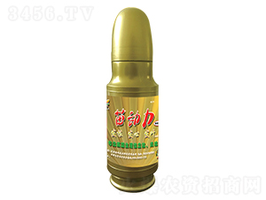 苗動力-浩峰農(nóng)業(yè)