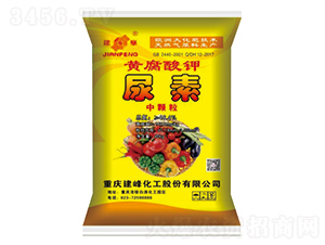 é»ƒè…é…¸é‰€å°¿ç´ -éš†ç§‘è¾²(nÃ³ng)è³‡