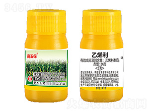 15gä¹™çƒ¯åˆ©-é«˜çŽ‰ä¿-å…¨è±
