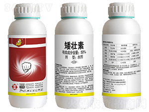 50%çŸ®å£¯ç´ -å…¨è±