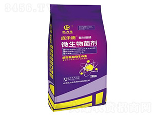 聚谷氨酸微生物菌劑-底樂(lè)施-凱力龍