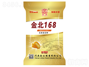 金北168-玉米雜交種子-金北種業(yè)